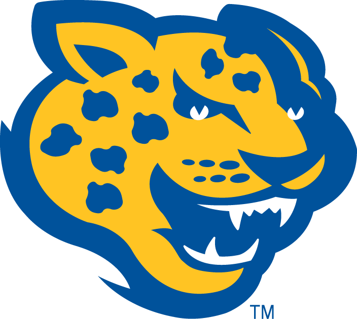 Southern Jaguars 2001-Pres Alternate Logo diy iron on heat transfer